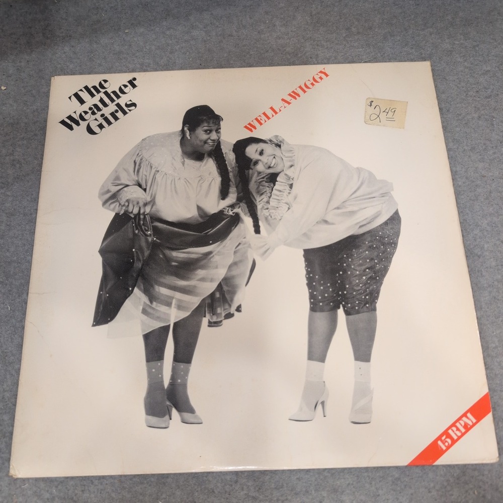 The Weather Girls Well-A-Wiggy 12" Vinyl Single 45 RPM Columbia 44-05245 1985 - Picture 1 of 6